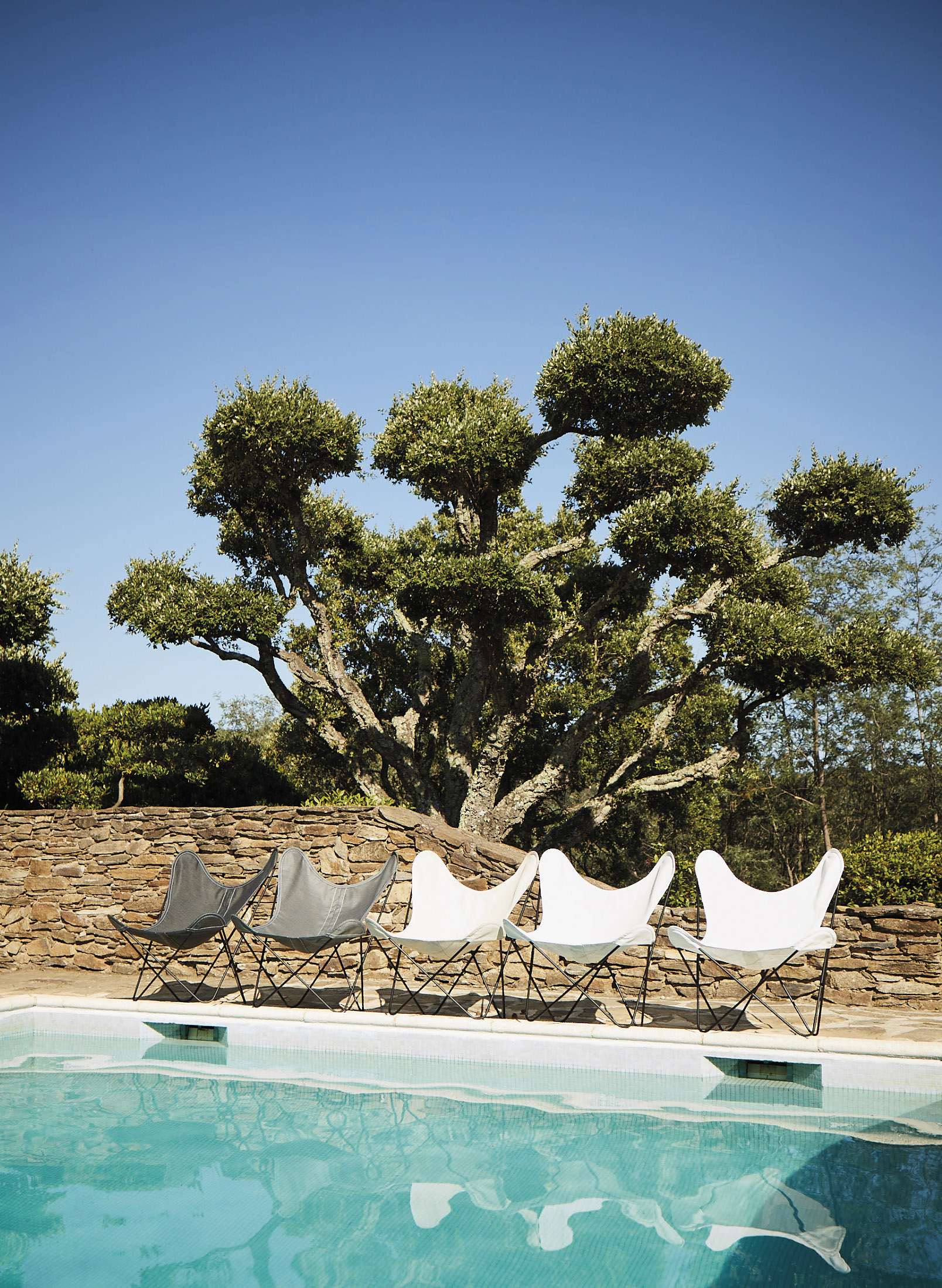 Outdoor butterfly chair black frame