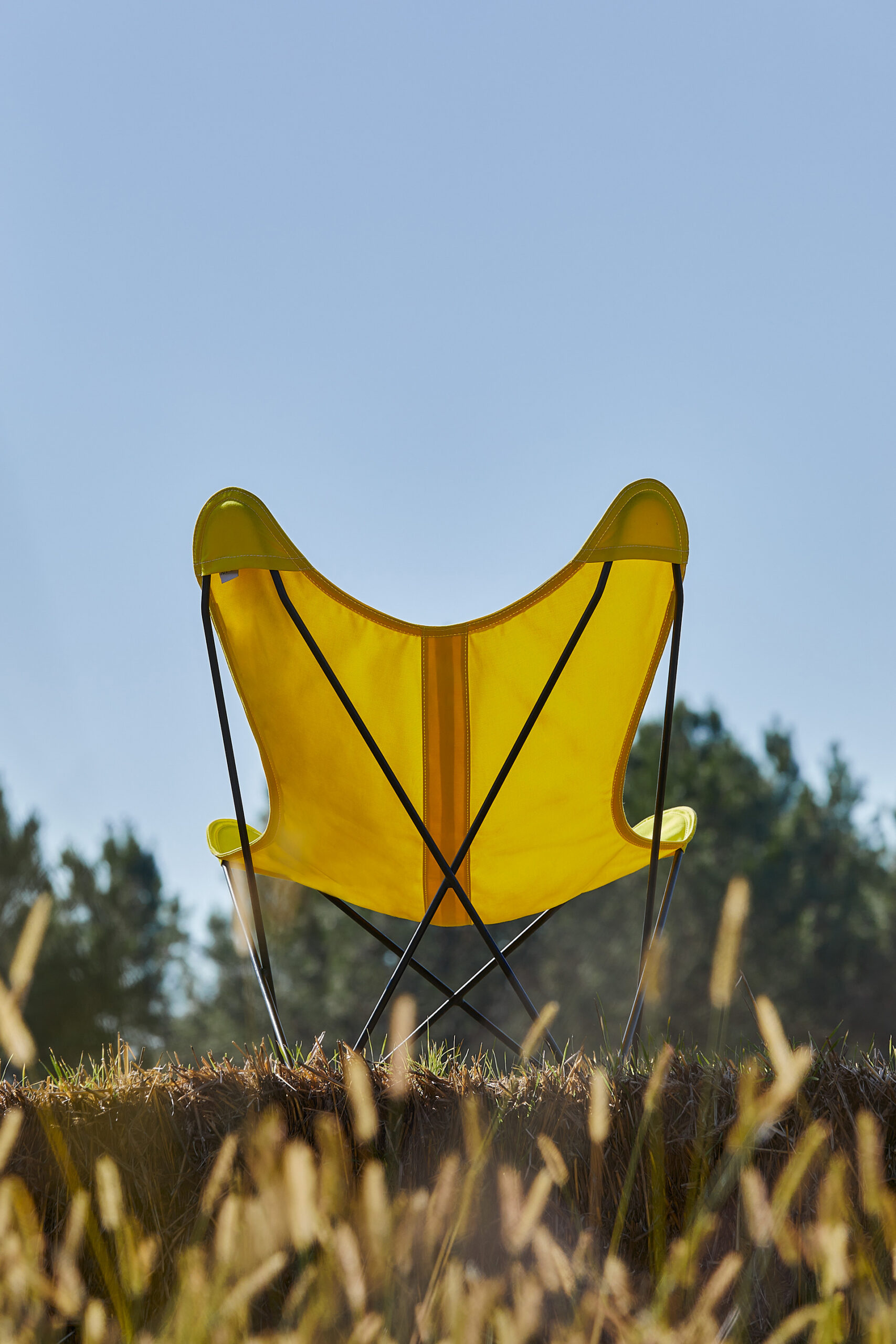 Outdoor butterfly chair black frame